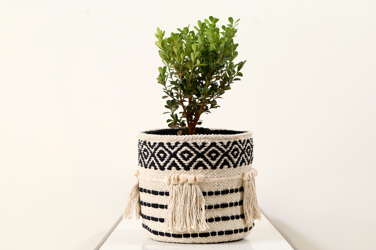 Modern Indoor Planter Basket