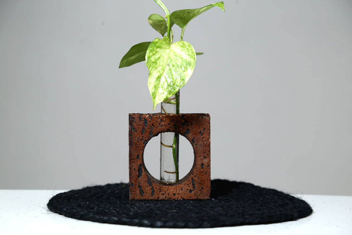 Cork Wood Planter