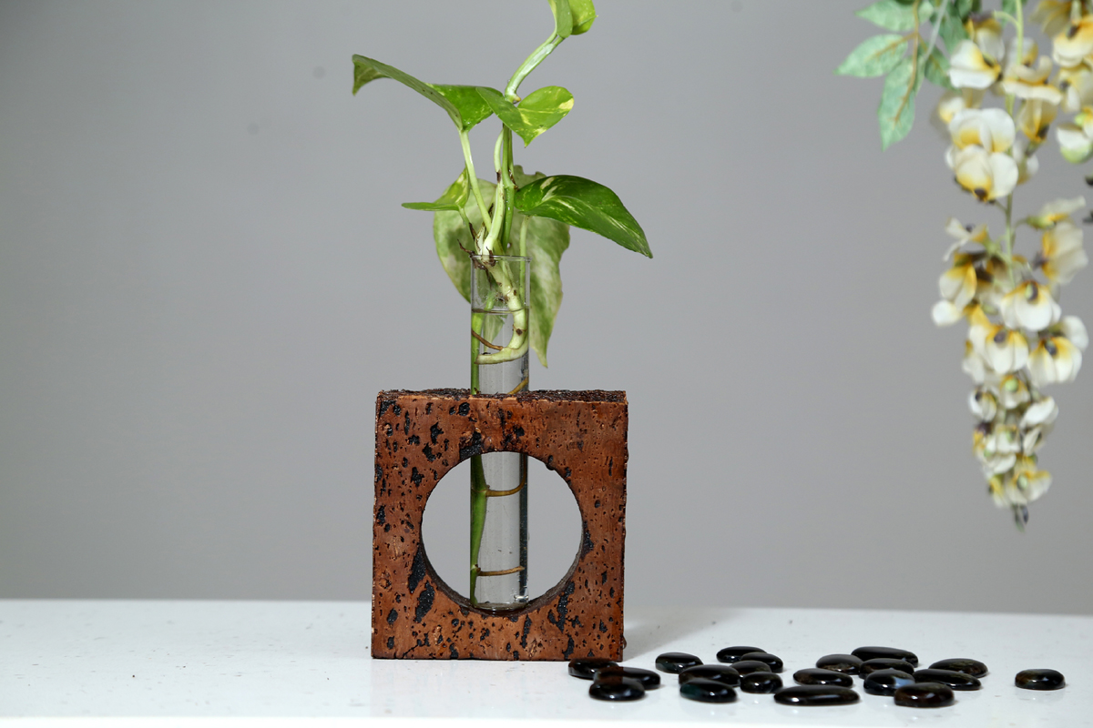 Cork Bark Tabletop Planter