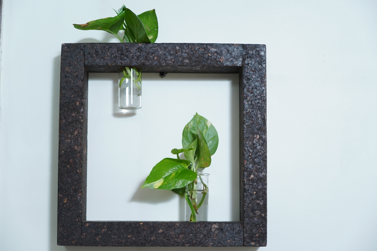 Cork Wall Frame Test Tube Planter