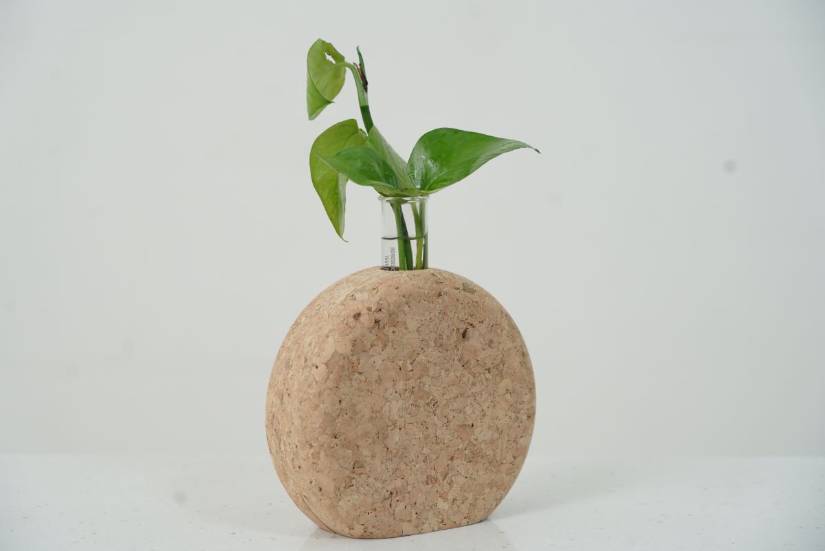 Cork Round Test Tube Planter