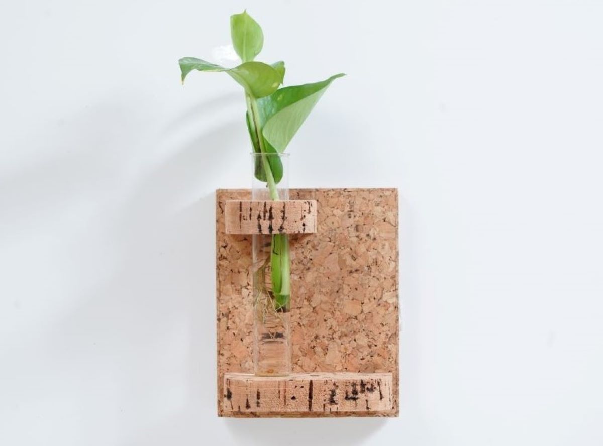 Cork Loop Test Tube Planter