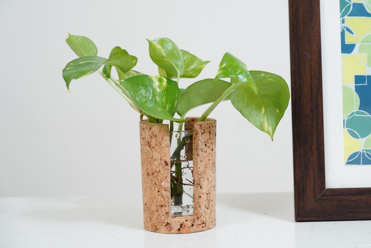 Cork Cylindrical Test Tube Planter