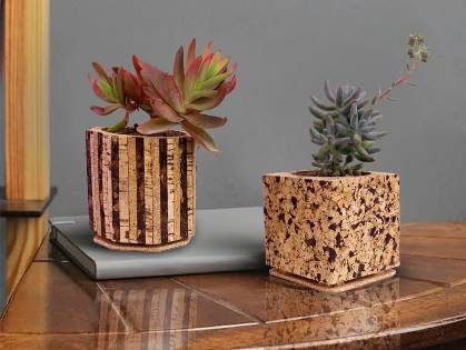cork pots for plants
