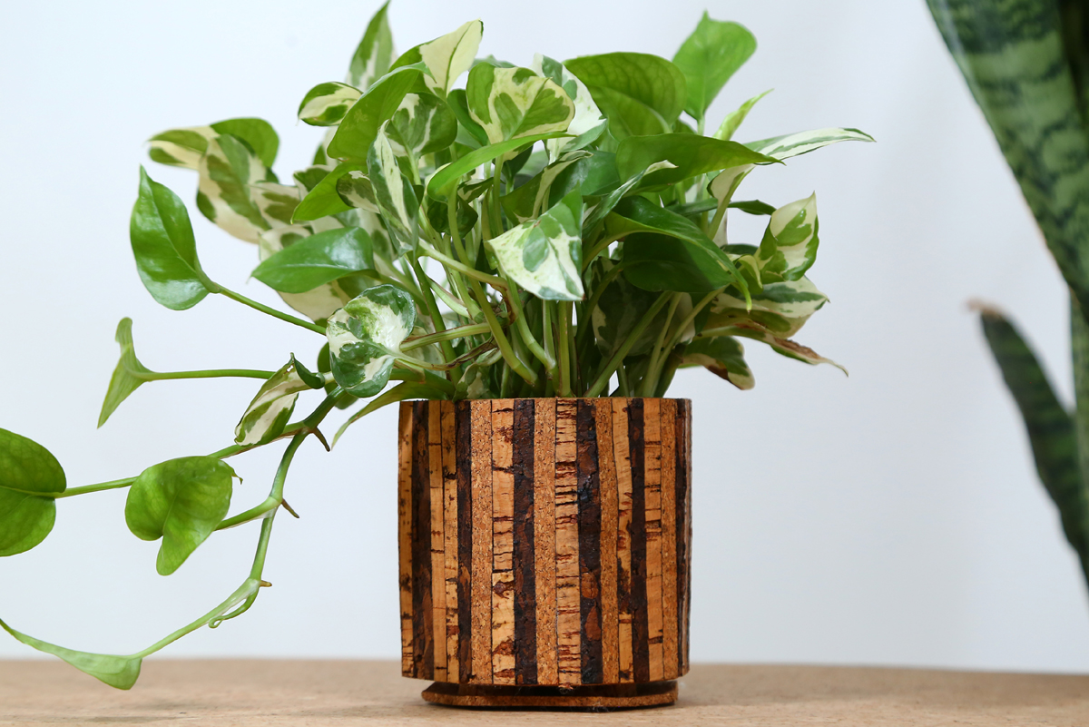 Cork Planter Striped