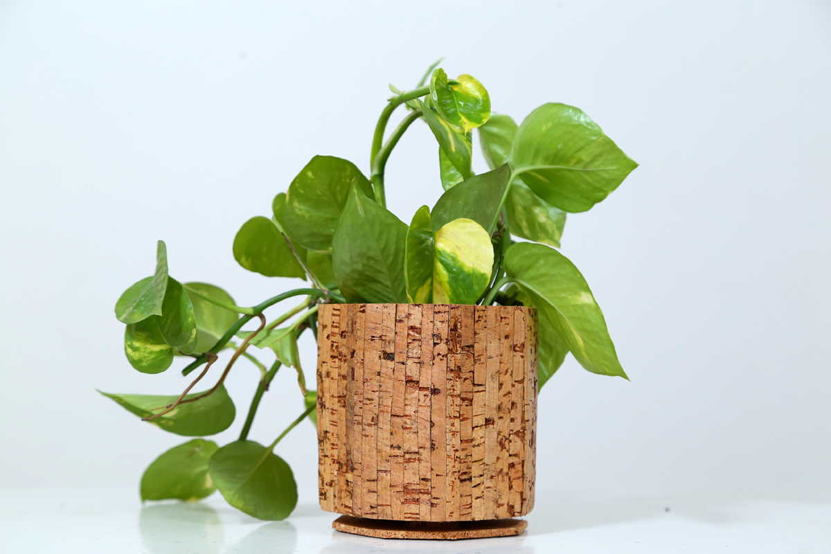 Cork Planter Linea