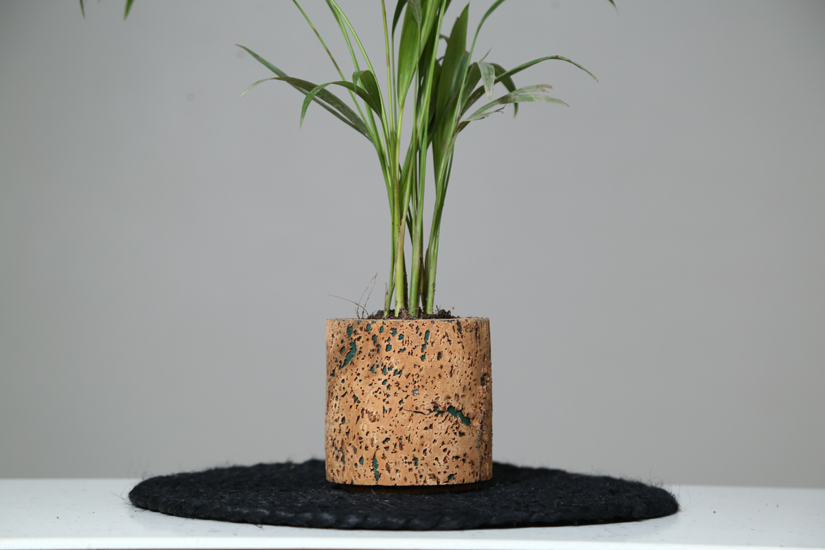 Cork Planter Aqua