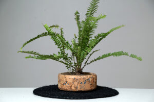 natural cork planter