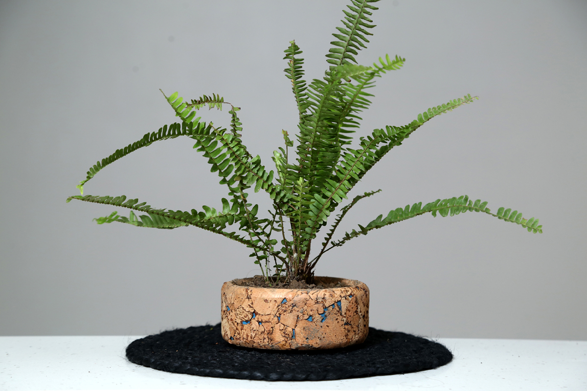 Cork Aqua Flat Planter