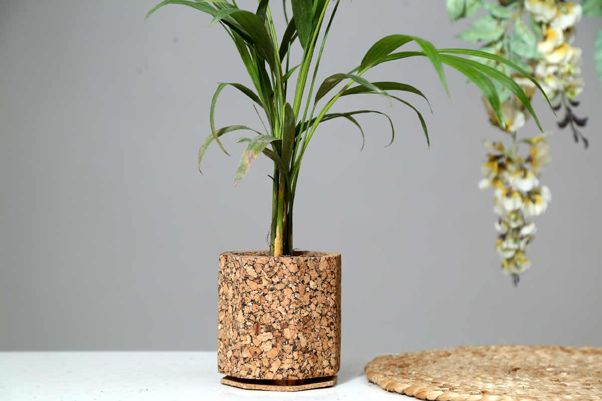 Cork Planter With Plant