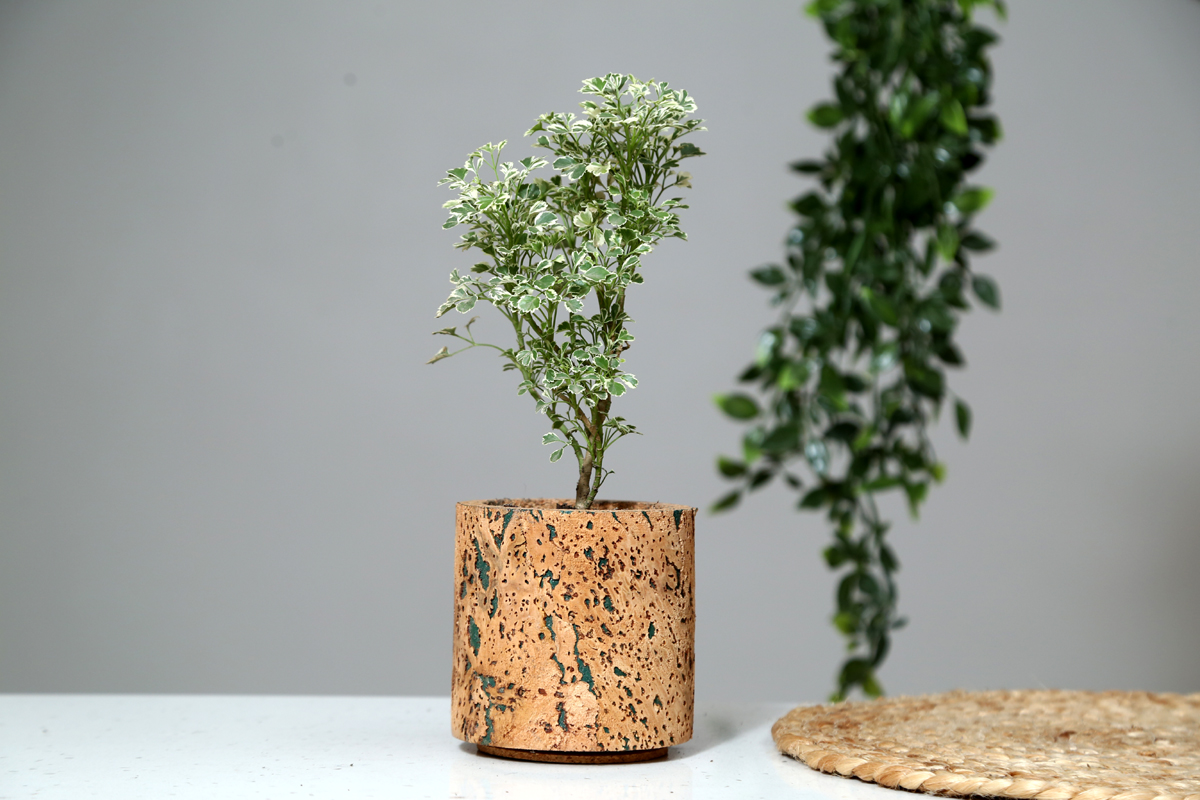 Cork Round Planter