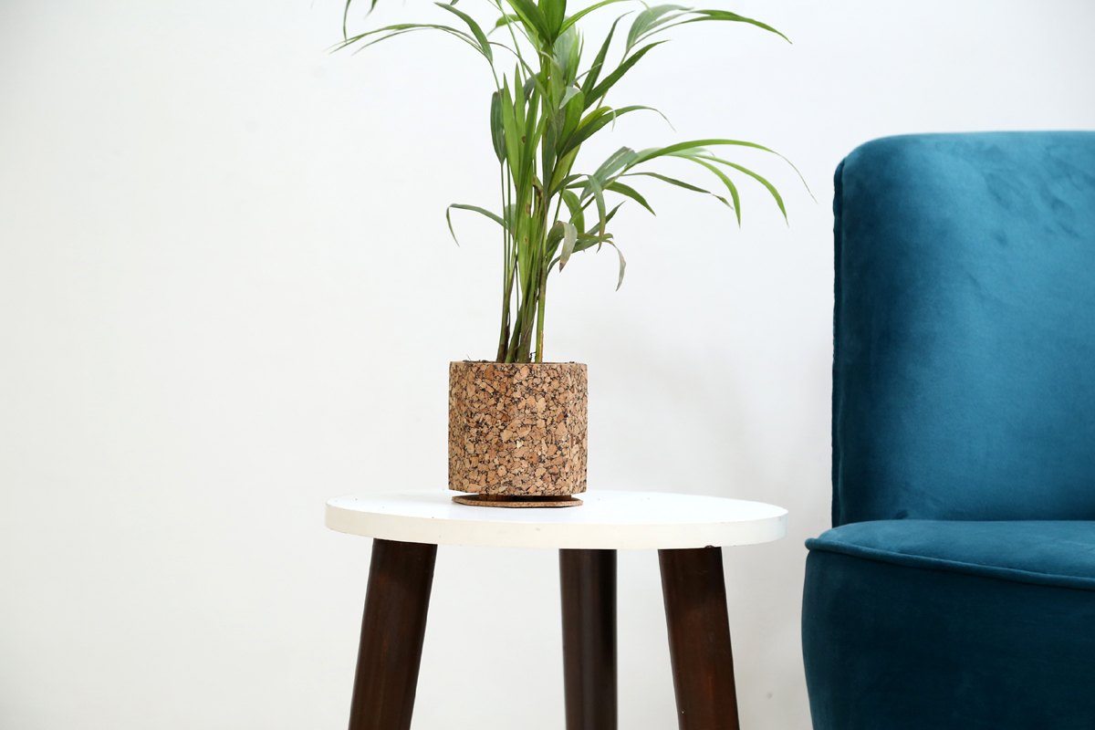 Create a Cork Plant Pot Cover for Your Houseplants! – Planterina