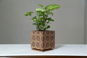 cork flower pot