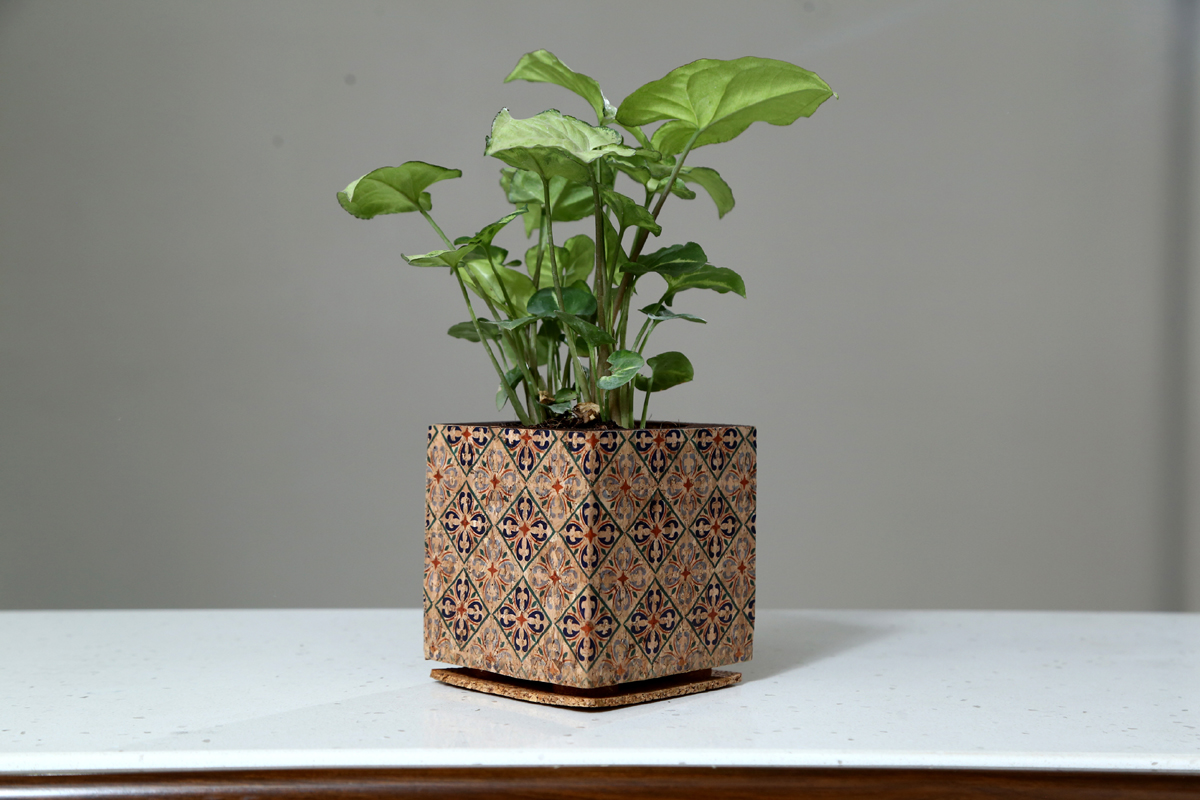 Cork Multicolored Planter