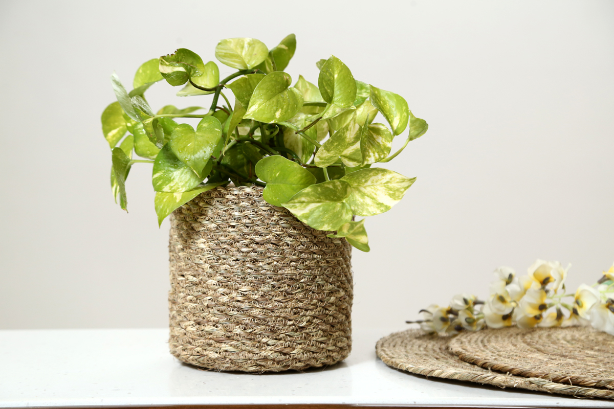 Jute Baan Planter Basket