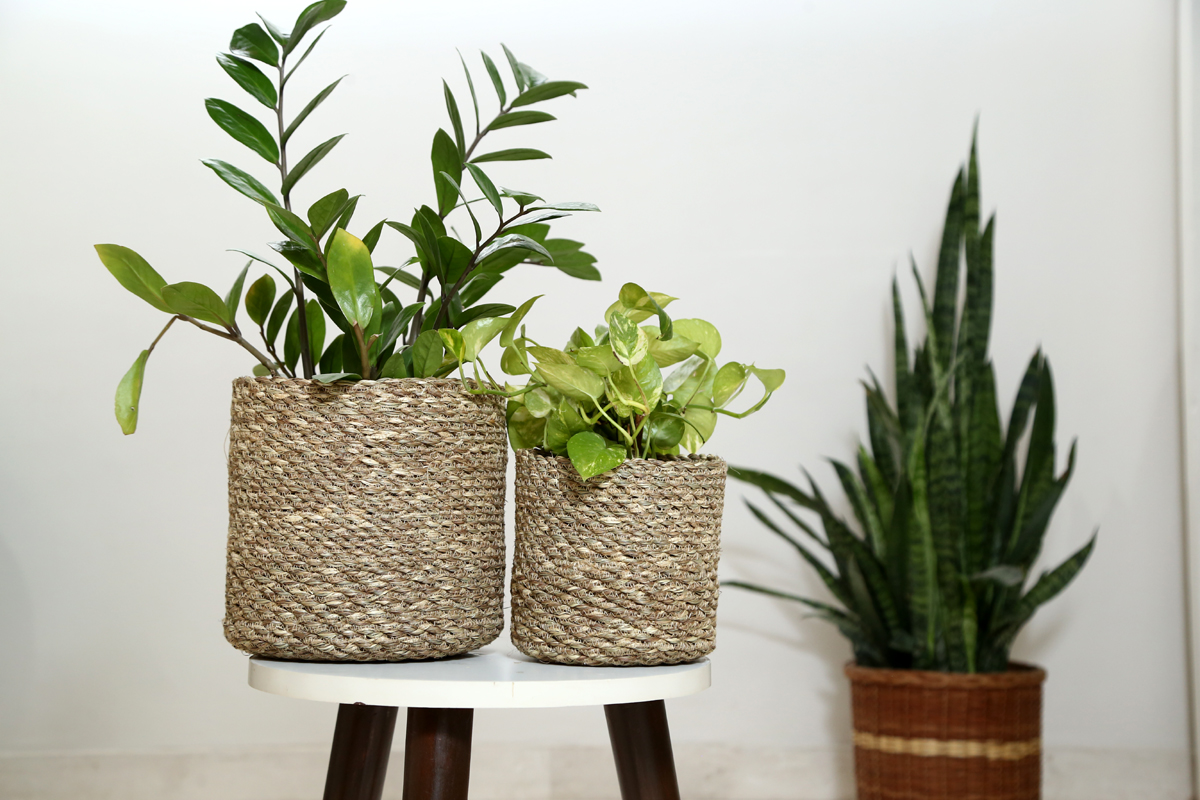 Jute Planter Indoor