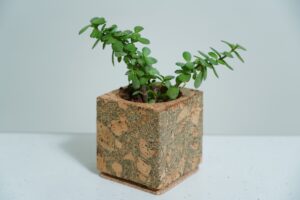 Set of 2 cork planter