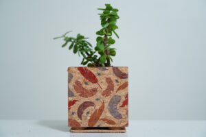 Cork Pots for Plants